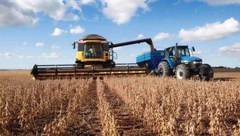 La moneda del campo: granos como instrumento financiero en el mercado inmobiliario