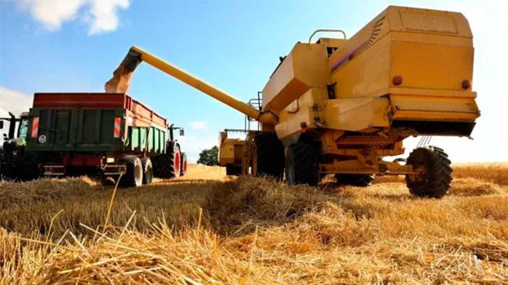 El desafío de consolidar a Argentina como exportador de alimentos con valor agregado