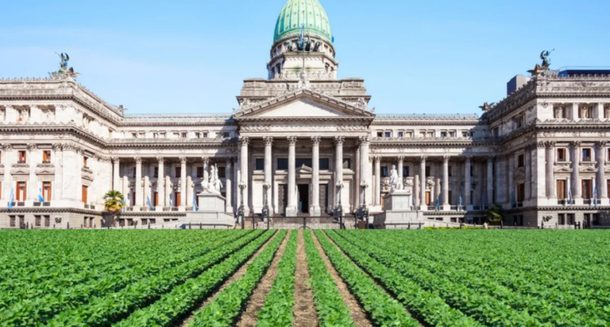 Balance legislativo 2025: qué logró el agro en el Congreso y qué esperar en 2026