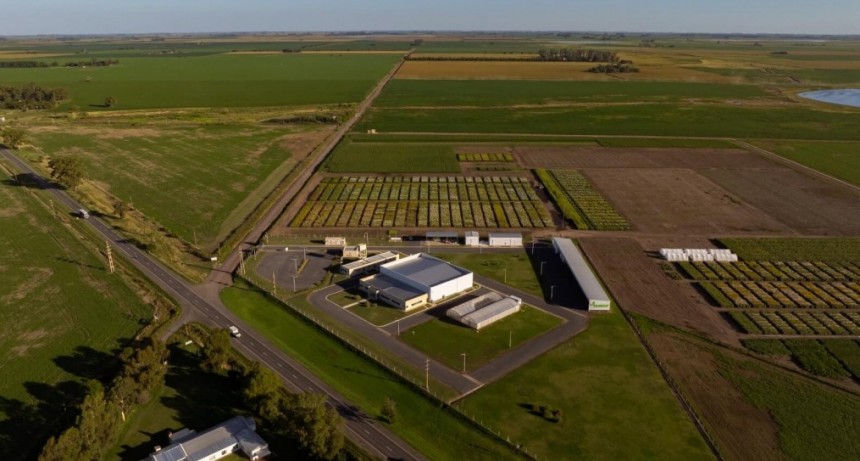 “Tenemos que pensar en una agricultura para alimentos y para biocombustibles, para las dos cosas”