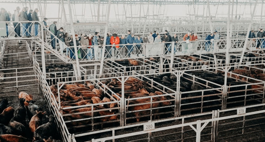 El precio de la carne, en días de Fiestas: para la Sociedad Rural Argentina hay “10 claves estructurales” que explican subas