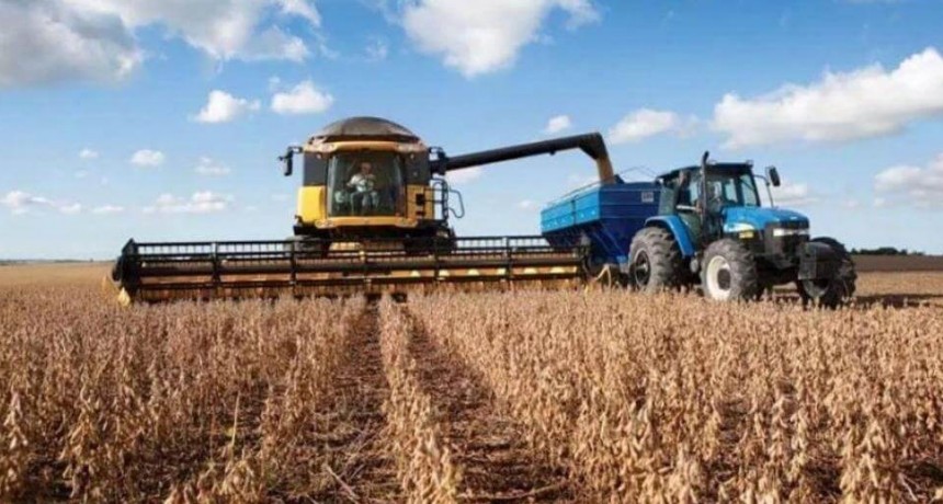 La moneda del campo: granos como instrumento financiero en el mercado inmobiliario