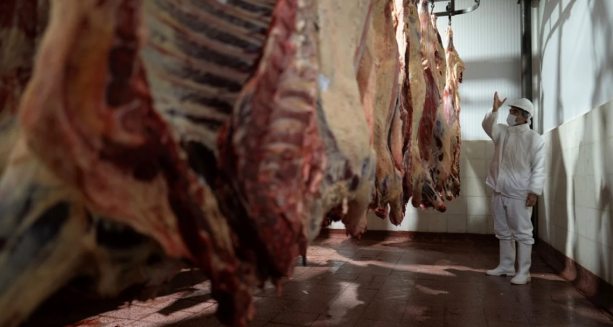 Carne vacuna: la retracción de China reaviva el debate sobre diversificación de mercados