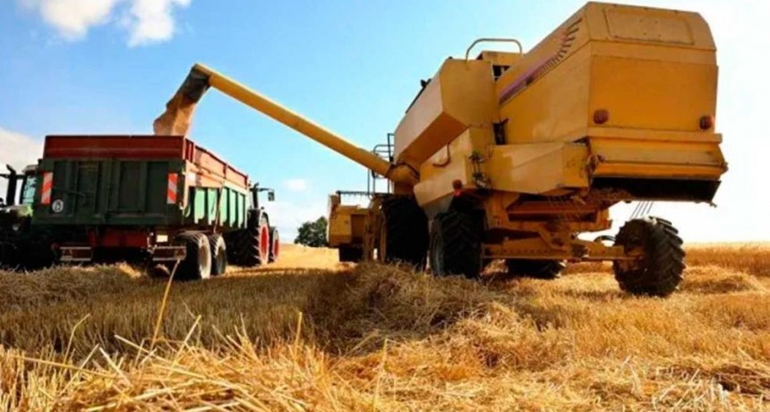 El desafío de consolidar a Argentina como exportador de alimentos con valor agregado