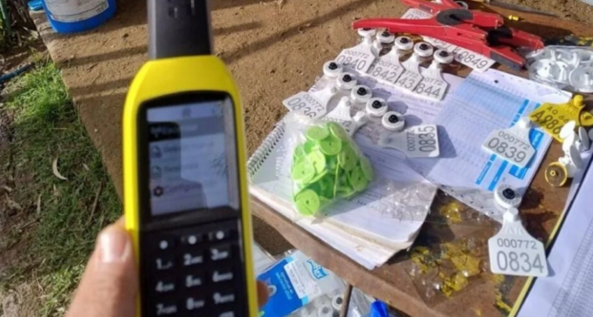 Productores rurales rechazan la obligatoriedad de la caravana electrónica y proponen alternativas